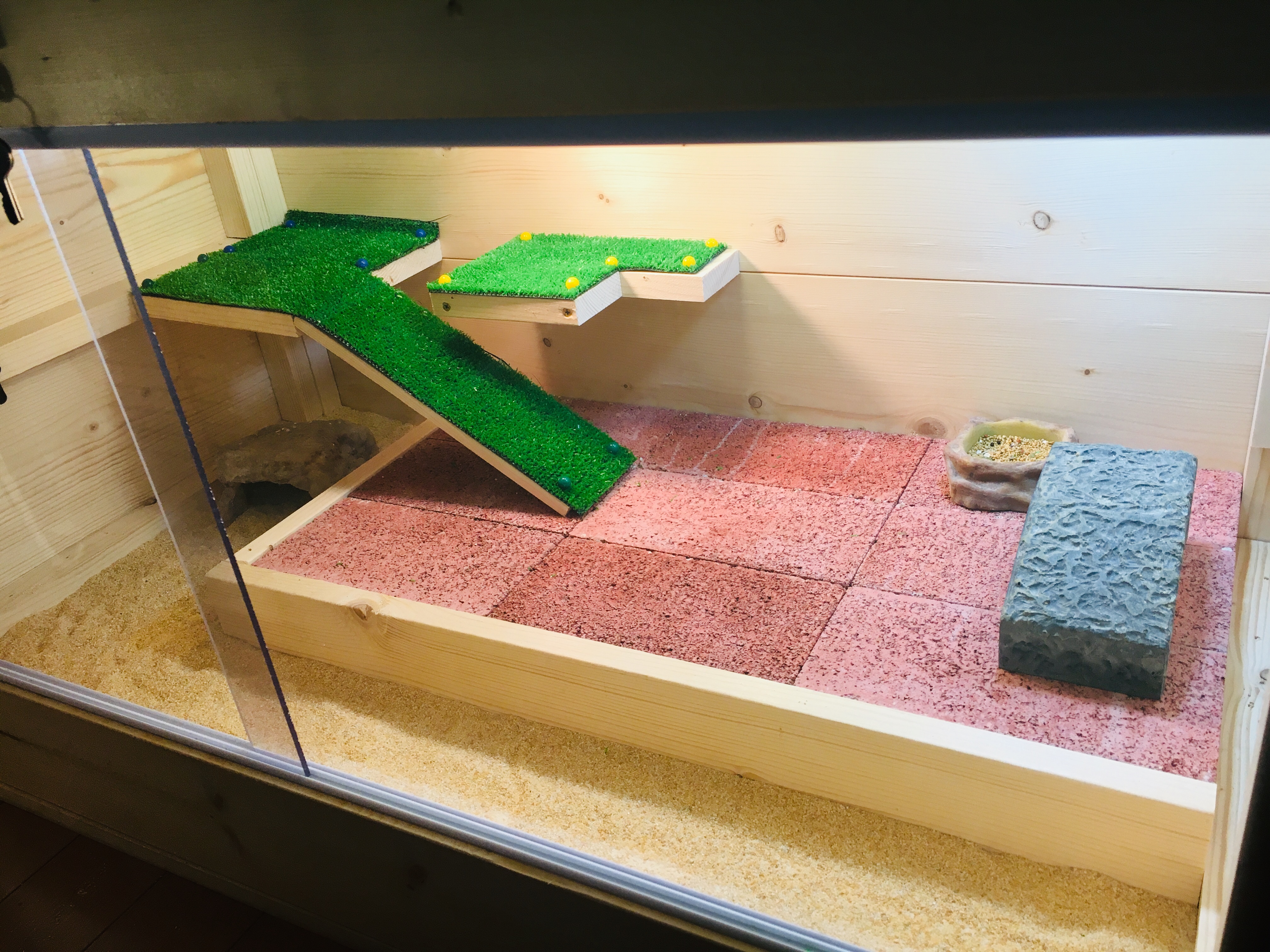 爬虫類の手作り木製ゲージです！我が家ではフトアゴヒゲトカゲちゃんのハウスに！ - rockys-online.com