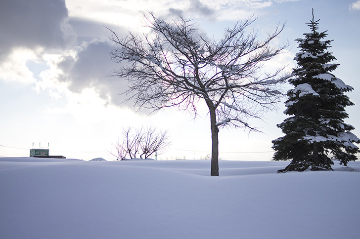 雪景色