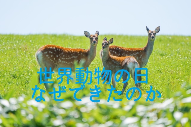 世界動物の日なぜできたのか